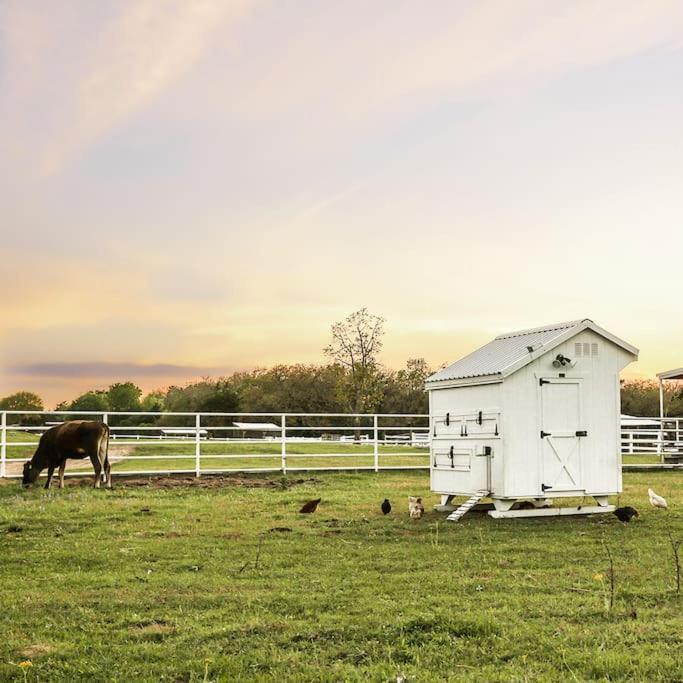 Luxury Ranch Resort & Event Venue - Sleeps 57 Greenvine Exterior photo